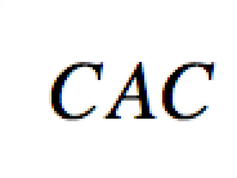 CAC (kliento įsigijimo kaina): kam skaičiuoti šį rodiklį